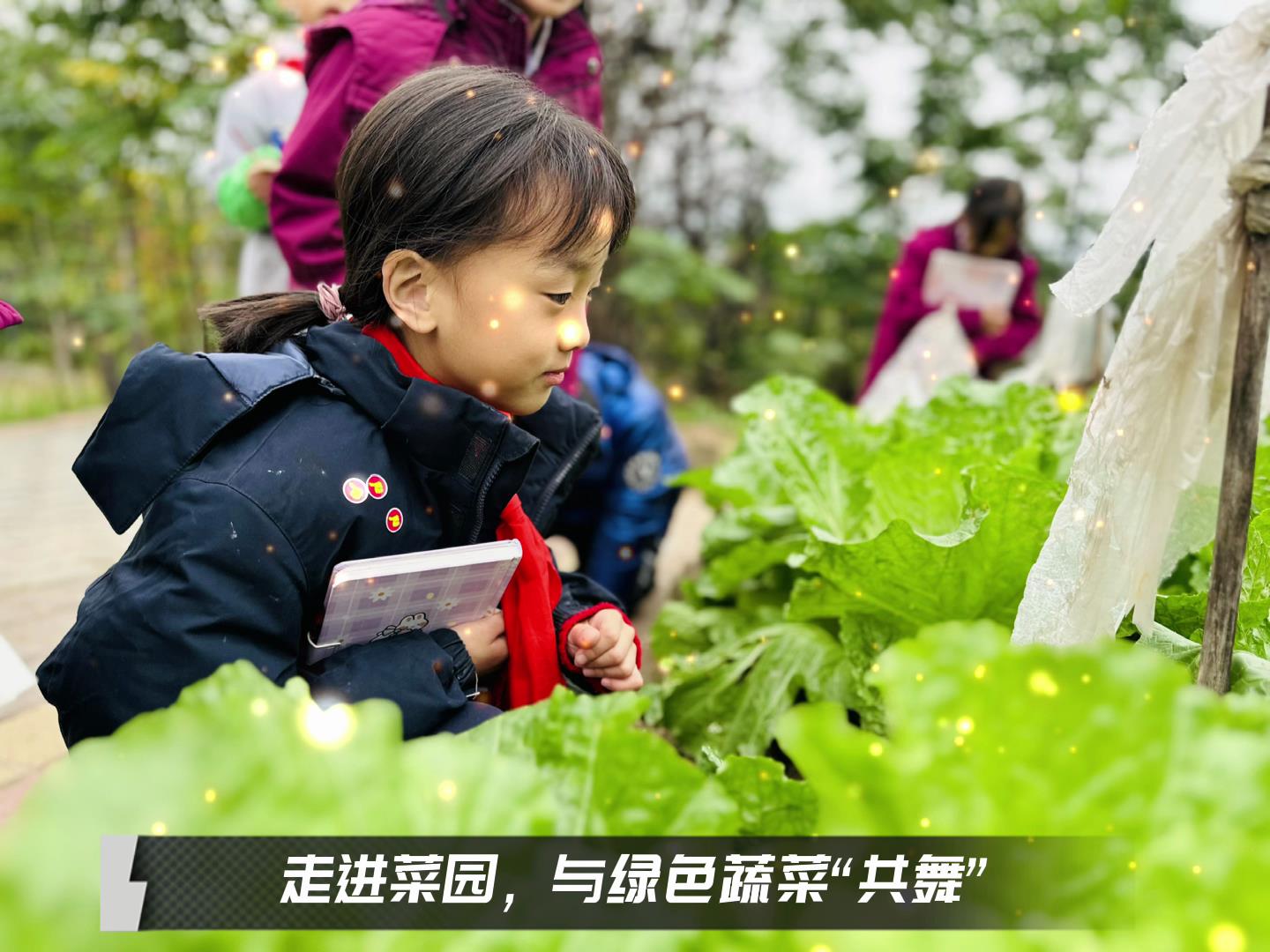 #美好學(xué)校|留校時(shí)光，走出教室，與綠色蔬菜共舞