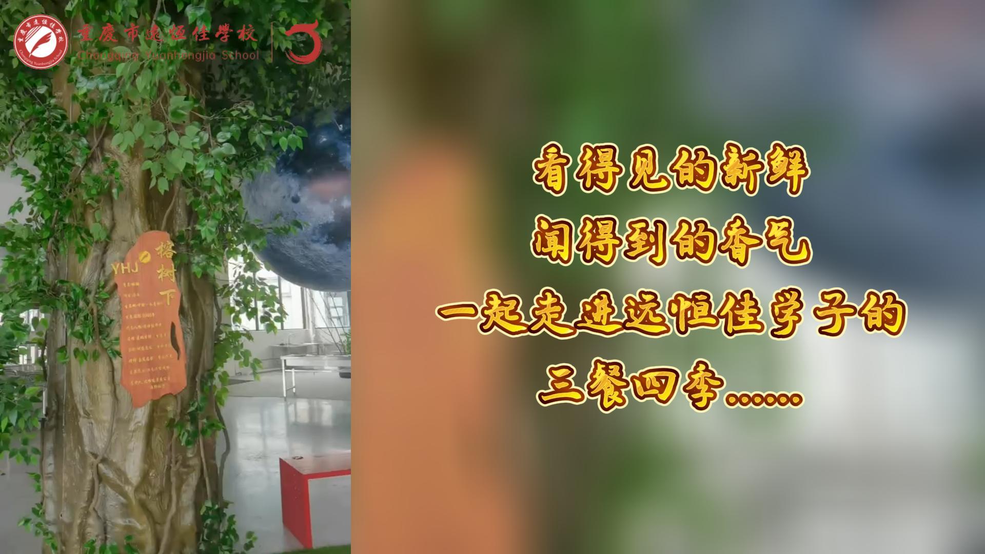 #美好學(xué)校|看得見(jiàn)的新鮮，聞得到的香味，一起走進(jìn)遠(yuǎn)恒佳學(xué)子的三餐四季!
